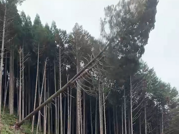 山の見学会